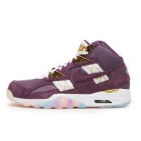 Nike AIR TRAINER SC SP (IQ5796-500)