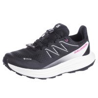Salomon ALPHARIDE 2 GTX (L45476900)