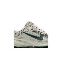 Nike ACG Pegasus Trail (HV8116-301)