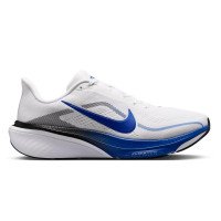 Nike Pegasus 42 (IB1873104)