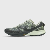 Nike Terra Kiger 10 (FV3929-302)