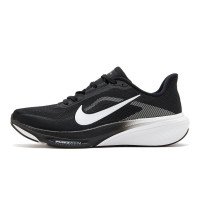 Nike Pegasus 42 (IB1873)