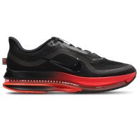 Nike Pegasus Premium (HQ2592-019)