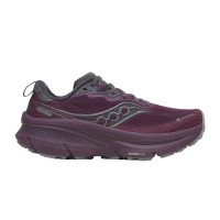 Saucony Saucony Guide TR GTX (S101840)