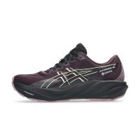 Asics GT-2000 15 GTX (1012C002)