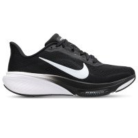 Nike Pegasus 42 (IB1881-001)