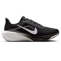 Nike Pegasus 42 (IB1873-001)