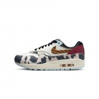Nike Nike WMNS AIR MAX 1 '87 'Great Indoors' (FD0827-133)