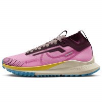 Nike Nike Pegasus Trail 4 GORE-TEX (FD0797-600)