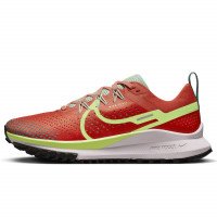 Nike Nike Pegasus Trail 4 (DJ6159-801)