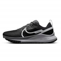 Nike Nike Pegasus Trail 4 (DJ6159-001)