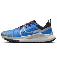 Nike Nike Pegasus Trail 4 (DJ6159-401)