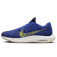 Nike Nike Pegasus Turbo (DM3413-401)