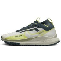 Nike Nike Pegasus Trail 4 GORE-TEX (FN7771-100)