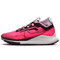 Nike Nike Pegasus Trail 4 GORE-TEX (FN7769-600)