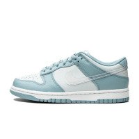 Nike Dunk Low (GS) (DH9765-401)