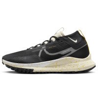 Nike Nike Pegasus Trail 4 GORE-TEX (DJ7926-005)