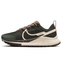 Nike Nike Pegasus Trail 4 (DJ6159-300)