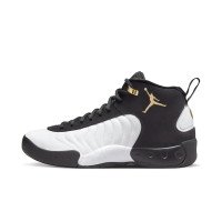 Nike Jordan Jumpman Pro (DN3686-071)