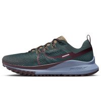 Nike Nike Pegasus Trail 4 (DJ6158-300)