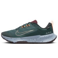 Nike Nike Juniper Trail 2 GORE-TEX (FB2067-300)