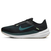 Nike Nike Winflo 10 (DV4022-008)