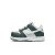 Thumbnail of Nike Nike Dunk Low (FB9107-300) [1]
