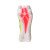 Thumbnail of adidas Originals X Crazyfast Elite Artificial Grass Boots (ID6027) [1]