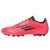 Thumbnail of adidas Originals F50 LEAGUE 2G/3G AG (IF1329) [1]