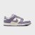 Thumbnail of Nike WMNS Dunk Low (FZ4349100) [1]