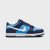 Thumbnail of Nike Dunk Low (GS) (HF0031400) [1]