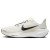 Thumbnail of Nike Pegasus 41 (FD2723-108) [1]