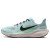 Thumbnail of Nike Pegasus 41 (FD2722-406) [1]