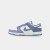 Thumbnail of Nike Dunk Low (IB4417-103) [1]