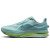 Thumbnail of Nike Pegasus Premium (HQ2592-009) [1]