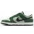 Thumbnail of Nike Dunk Low Retro SE (IB6399-301) [1]