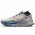 Thumbnail of Nike Nike Pegasus Trail 4 GORE-TEX (DJ7926-100) [1]