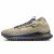 Thumbnail of Nike Nike Pegasus Trail 4 GORE-TEX (FD5841-200) [1]