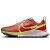 Thumbnail of Nike Nike Pegasus Trail 4 (DJ6159-801) [1]