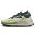 Thumbnail of Nike Nike Pegasus Trail 4 GORE-TEX (FN7771-100) [1]
