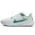 Thumbnail of Nike Nike Pegasus 40 Premium (FJ0329-100) [1]
