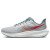Thumbnail of Nike Nike Pegasus 39 (DH4071-003) [1]