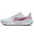 Thumbnail of Nike Nike Pegasus 39 (DH4071-007) [1]